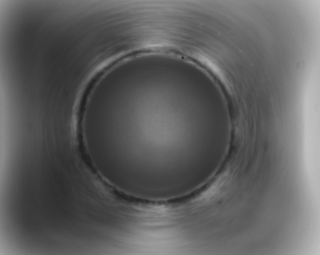 X0000088480975200706051357
