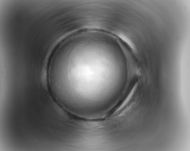 X0000088480976200706051357