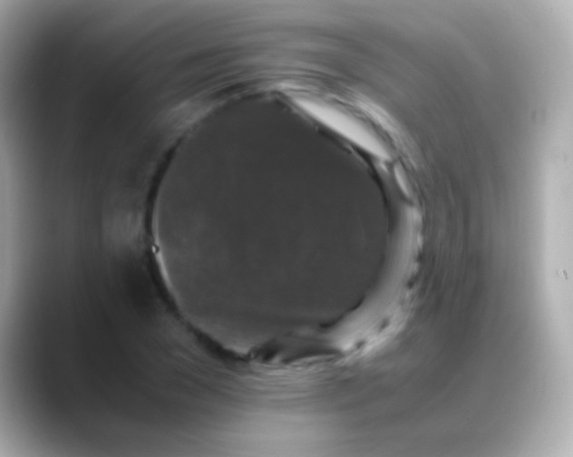 X0000088480977200706051357