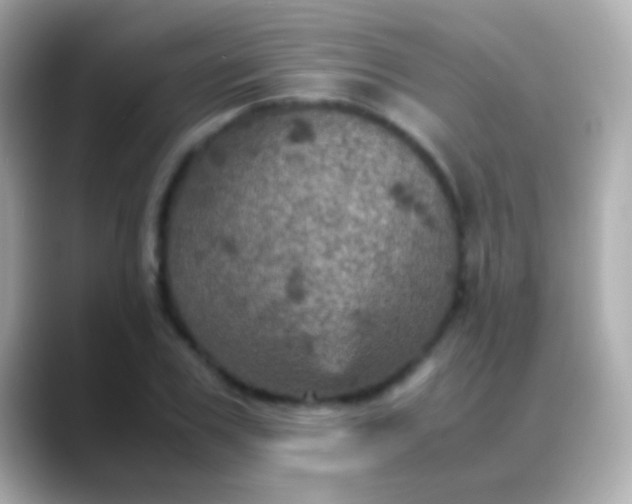 X0000088480979200706051357