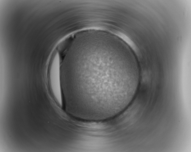 X0000088480980200706051357