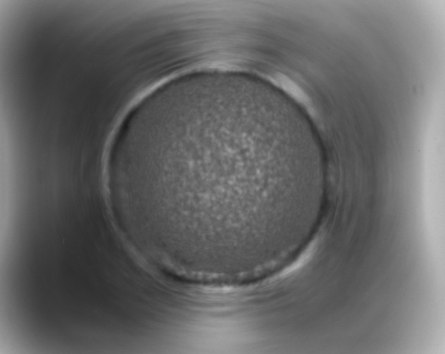X0000088480981200706051357