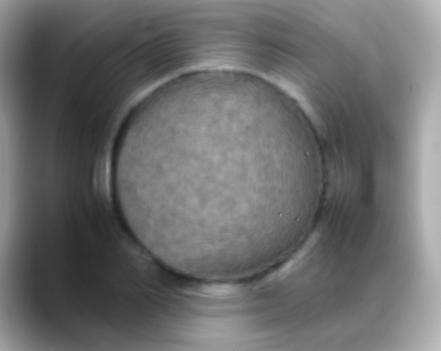 X0000088480982200706051357