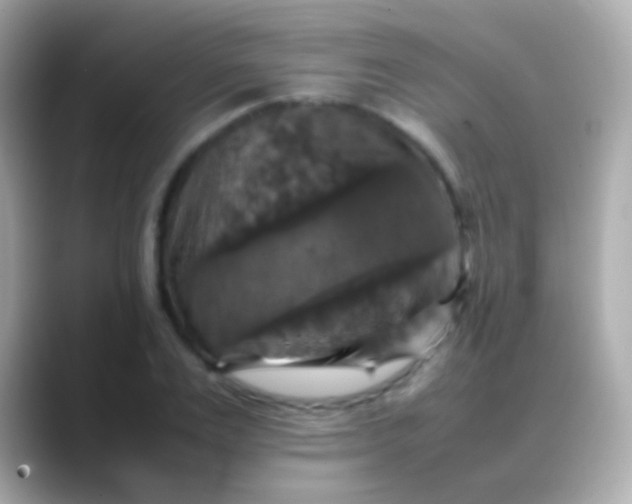 X0000088480983200706051357