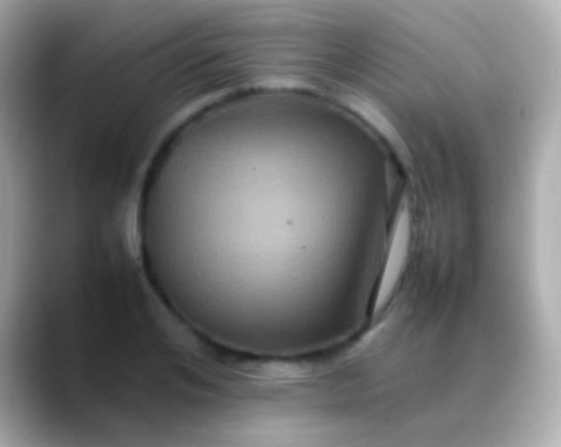 X0000088480984200706051357