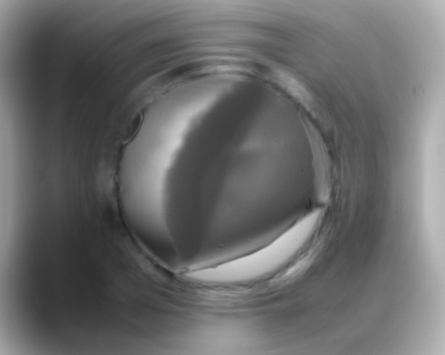 X0000088480985200706051357