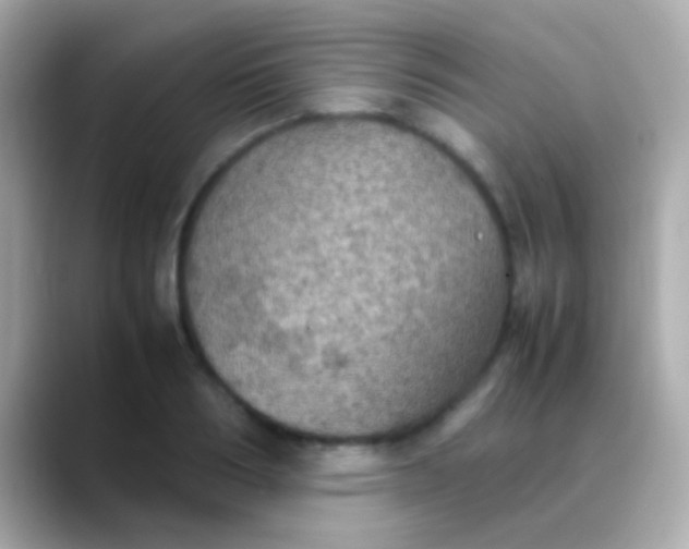 X0000088480986200706051357
