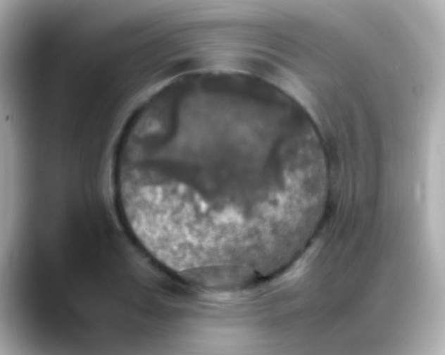 X0000088480987200706051357