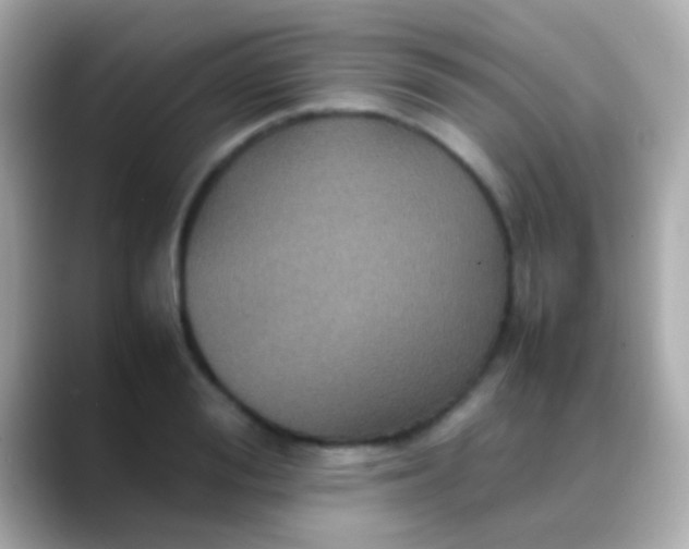 X0000088480988200706051357