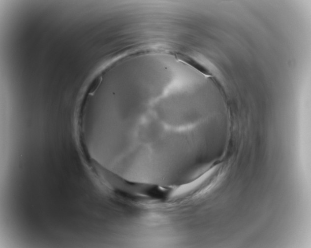 X0000088480989200706051357