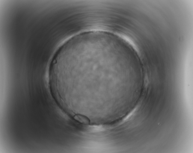 X0000088480990200706051357