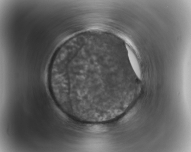 X0000088480991200706051357