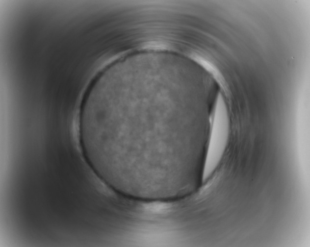 X0000088480992200706051357