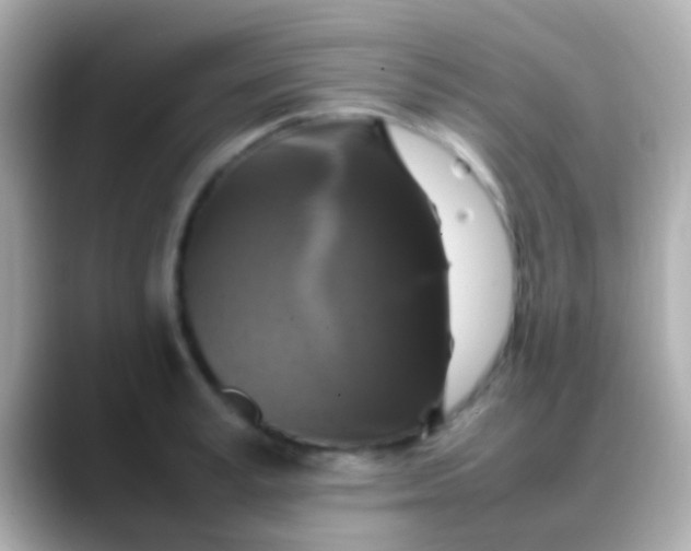 X0000088480995200706051357