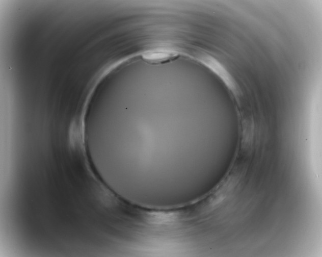 X0000088480996200706051357