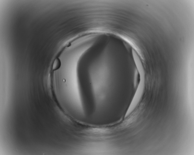 X0000088480998200706051357