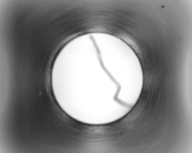 X0000088481000200706051357