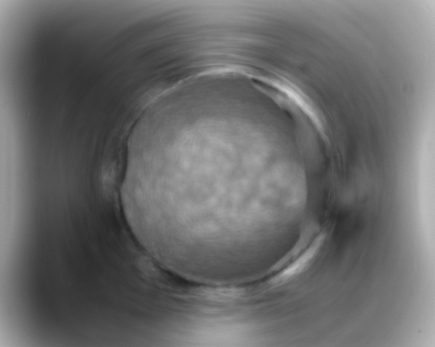X0000088481001200706051357