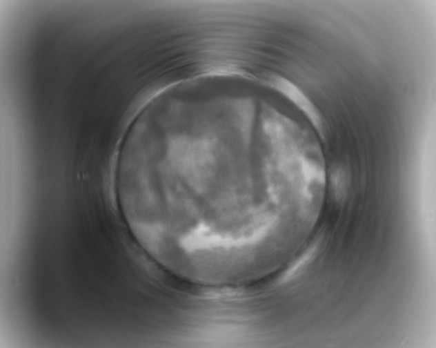 X0000088481002200706051357