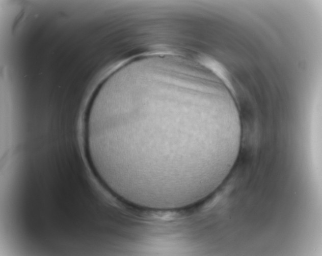 X0000088481003200706051357