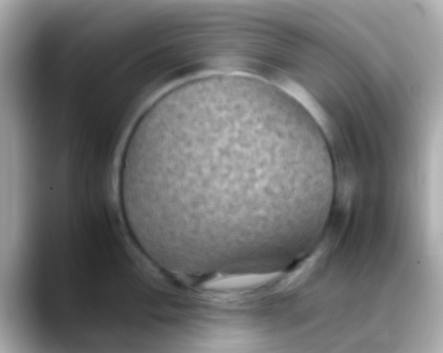 X0000088481004200706051357