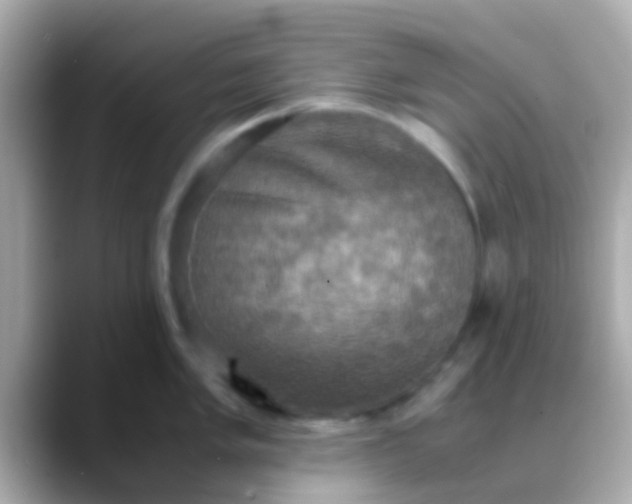 X0000088481005200706051357