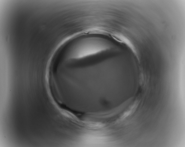 X0000088481007200706051357