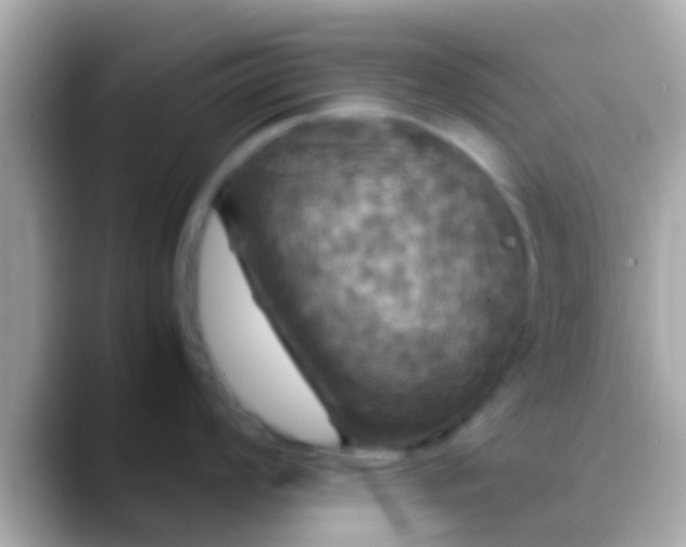 X0000088481008200706051357