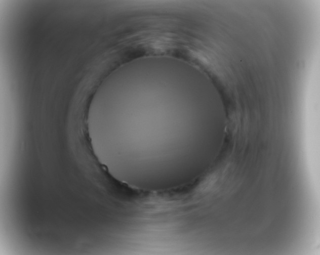 X0000088481009200706051356