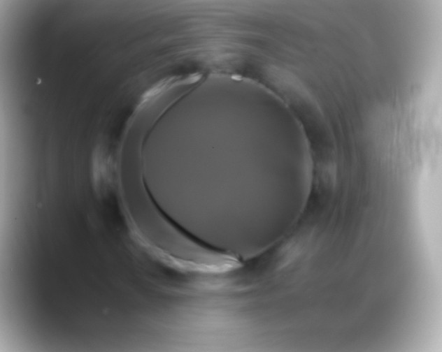 X0000088481010200706051356