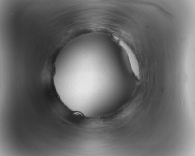 X0000088481012200706051356
