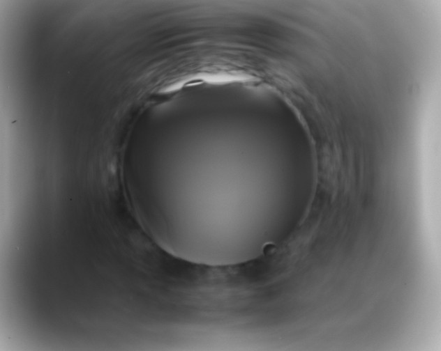 X0000088481013200706051356