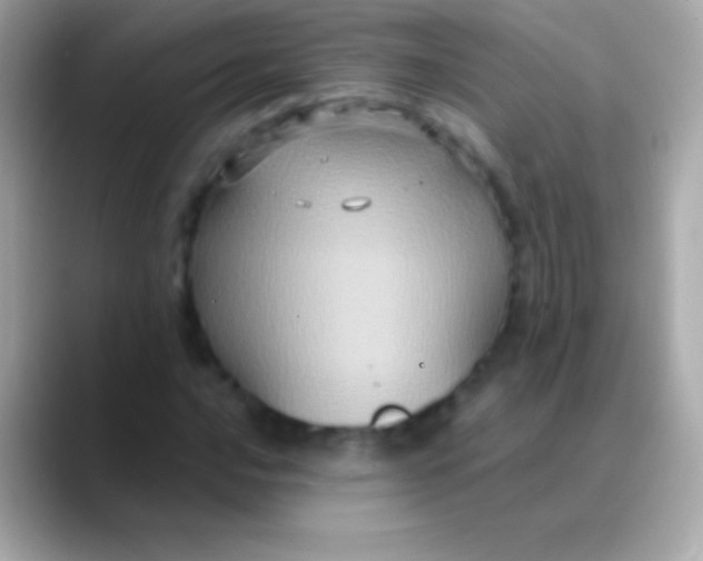 X0000088481016200706051356