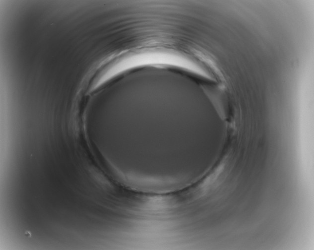X0000088481018200706051356