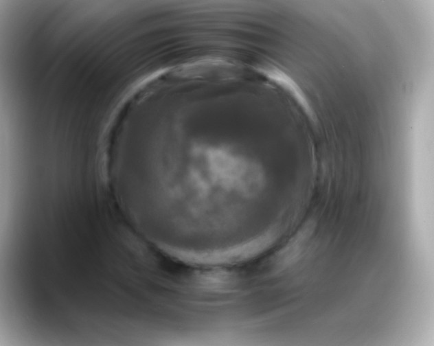 X0000088481019200706051356