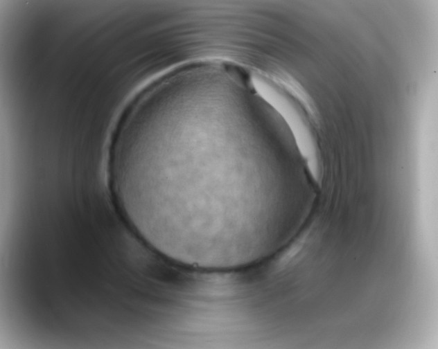 X0000088481020200706051356