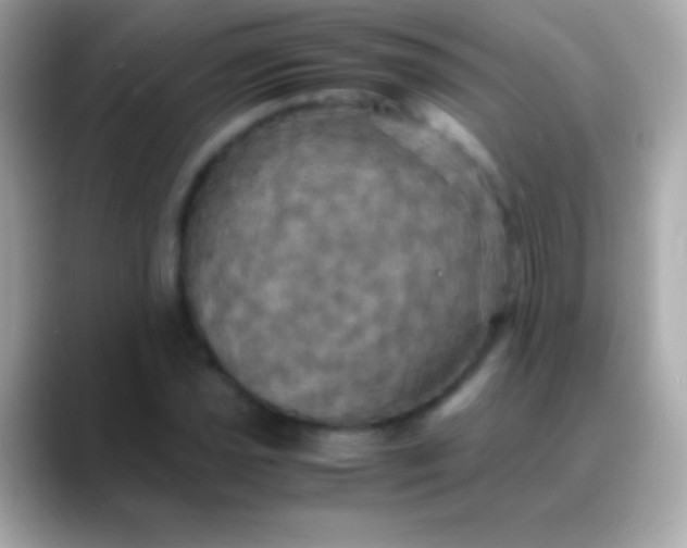 X0000088481021200706051356