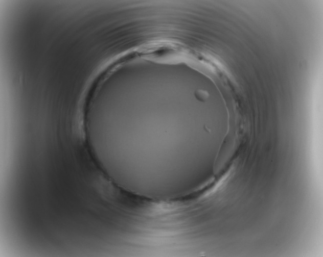 X0000088481022200706051356