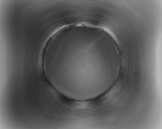 X0000088481023200706051356
