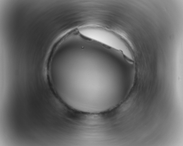 X0000088481024200706051356