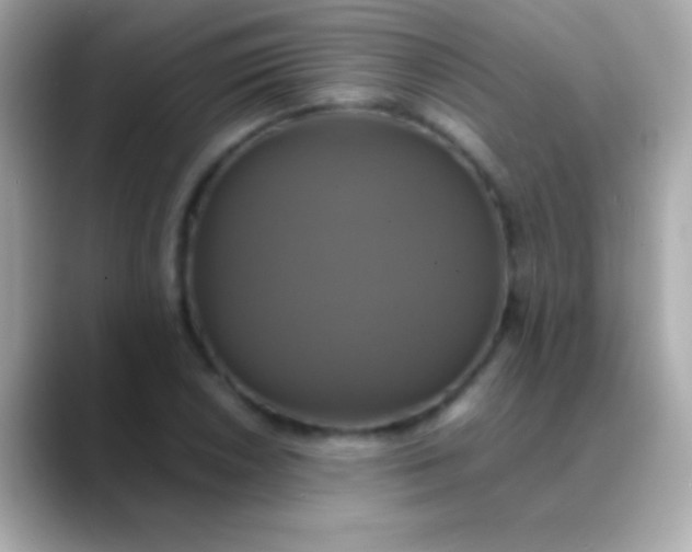 X0000088481026200706051356
