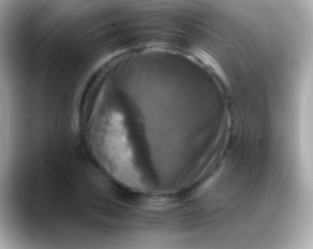 X0000088481027200706051356
