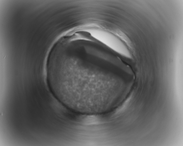 X0000088481028200706051356