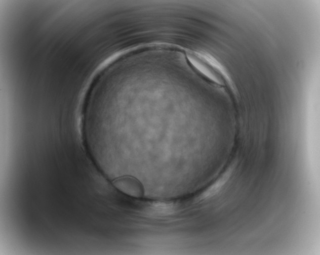 X0000088481029200706051357