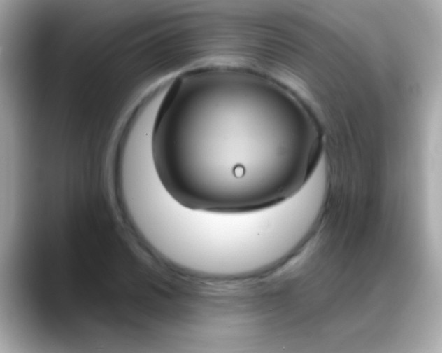 X0000088481030200706051357