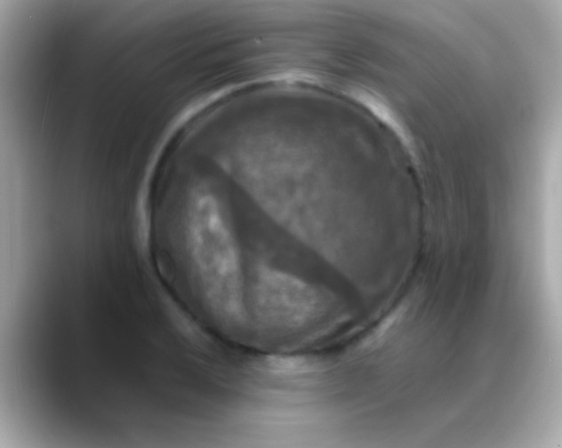 X0000088481032200706051357
