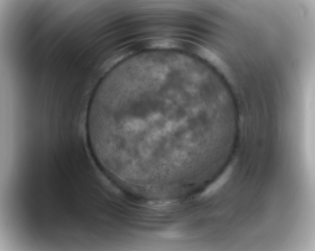 X0000088481033200706051357