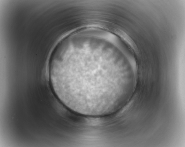 X0000088481036200706051357