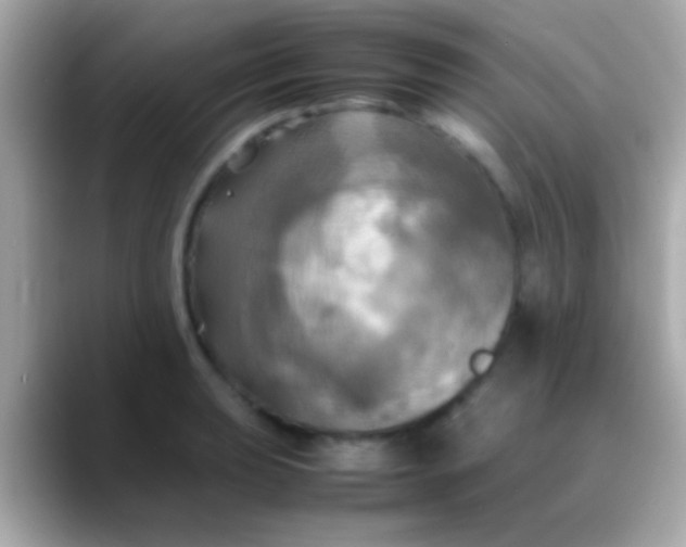 X0000088481039200706051357