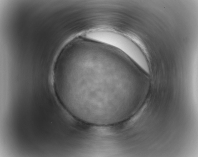X0000088481040200706051357